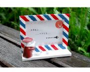 飛鴿傳書相框