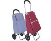 時(shí)尚購物車